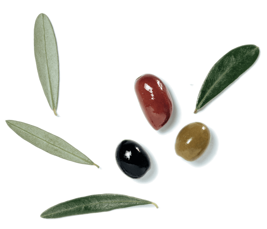 Olives and olive leaves representing the natural olive fruit matrix